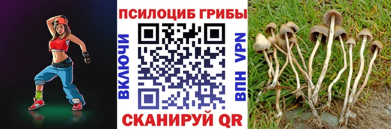 Галлюциногенные грибы Magic Shrooms  Купить  Старая Русса 